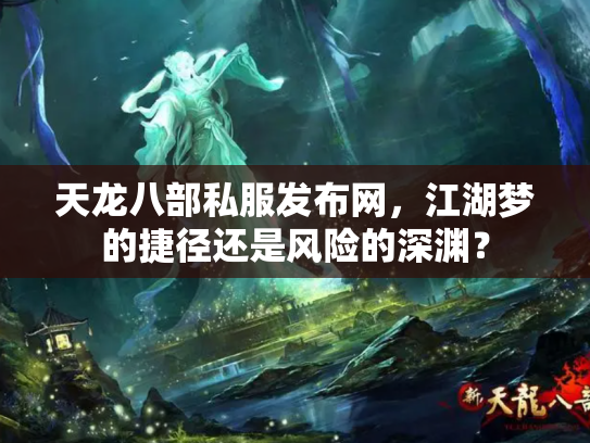 天龙八部私服发布网，江湖梦的捷径还是风险的深渊？
