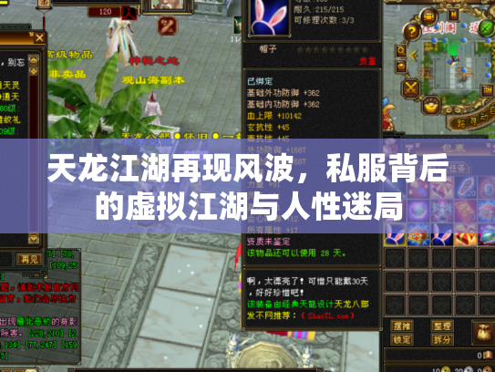 天龙江湖再现风波，私服背后的虚拟江湖与人性迷局