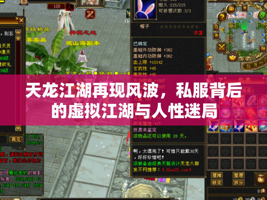 天龙江湖再现风波，私服背后的虚拟江湖与人性迷局