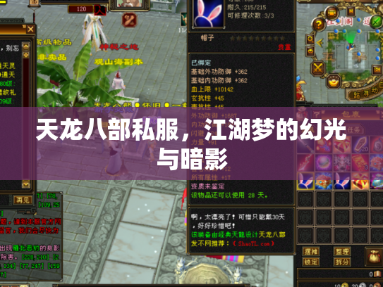 天龙八部私服，江湖梦的幻光与暗影