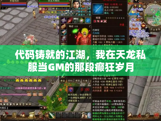 代码铸就的江湖，我在天龙私服当GM的那段癫狂岁月