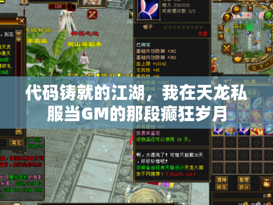 代码铸就的江湖，我在天龙私服当GM的那段癫狂岁月