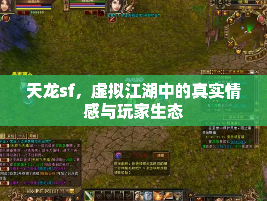 天龙sf，虚拟江湖中的真实情感与玩家生态