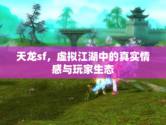 天龙sf，虚拟江湖中的真实情感与玩家生态