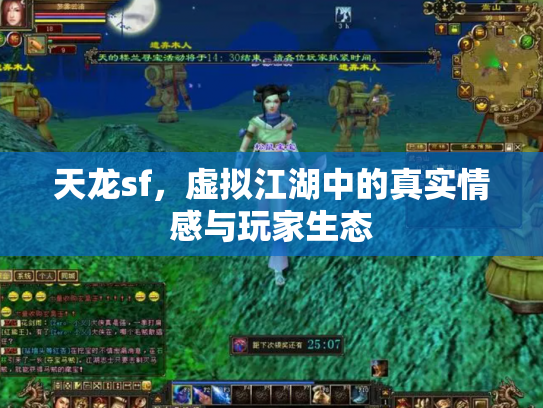 天龙sf，虚拟江湖中的真实情感与玩家生态