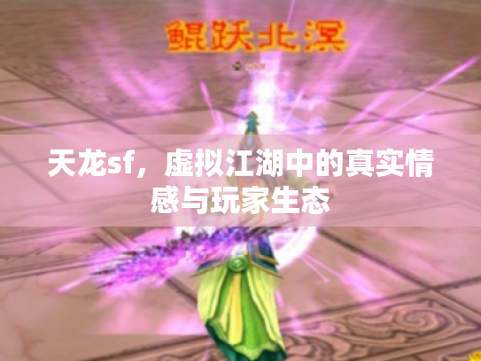 天龙sf，虚拟江湖中的真实情感与玩家生态