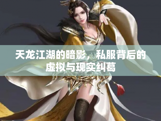 天龙江湖的暗影，私服背后的虚拟与现实纠葛