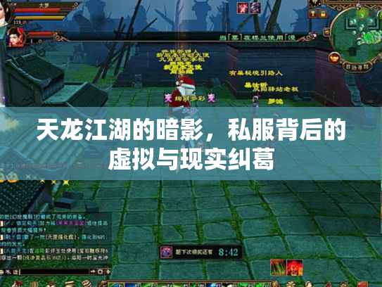 天龙江湖的暗影，私服背后的虚拟与现实纠葛