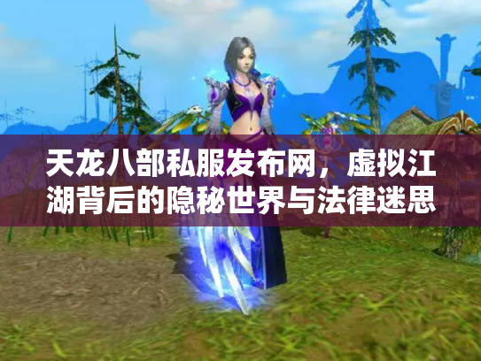 天龙八部私服发布网，虚拟江湖背后的隐秘世界与法律迷思