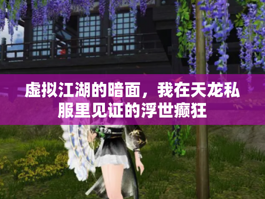 虚拟江湖的暗面，我在天龙私服里见证的浮世癫狂