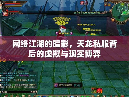 网络江湖的暗影，天龙私服背后的虚拟与现实博弈
