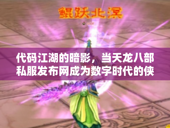 代码江湖的暗影，当天龙八部私服发布网成为数字时代的侠客与心魔
