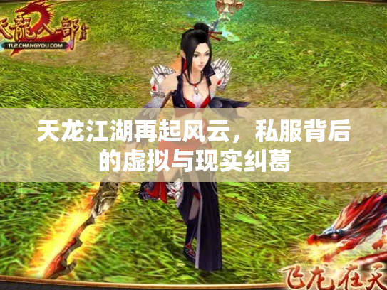 天龙江湖再起风云，私服背后的虚拟与现实纠葛