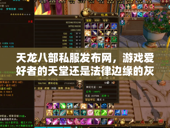 天龙八部私服发布网，游戏爱好者的天堂还是法律边缘的灰色地带？