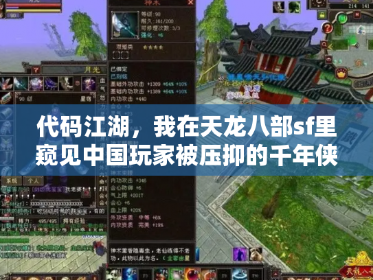 代码江湖，我在天龙八部sf里窥见中国玩家被压抑的千年侠义梦