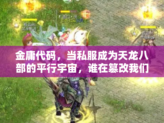 金庸代码，当私服成为天龙八部的平行宇宙，谁在篡改我们的江湖记忆？