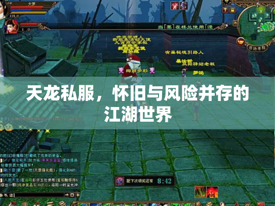 天龙私服，怀旧与风险并存的江湖世界