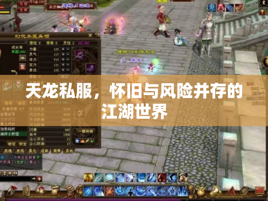 天龙私服，怀旧与风险并存的江湖世界