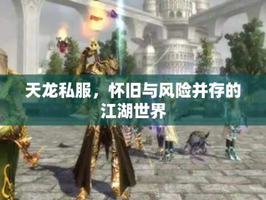 天龙私服，怀旧与风险并存的江湖世界