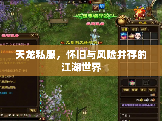 天龙私服，怀旧与风险并存的江湖世界