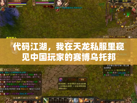 代码江湖，我在天龙私服里窥见中国玩家的赛博乌托邦