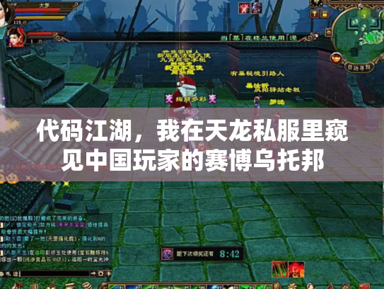 代码江湖，我在天龙私服里窥见中国玩家的赛博乌托邦