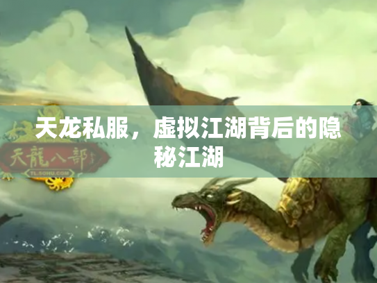 天龙私服，虚拟江湖背后的隐秘江湖