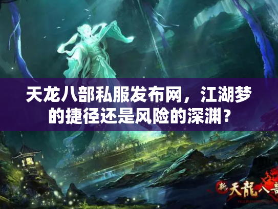 天龙八部私服发布网，江湖梦的捷径还是风险的深渊？