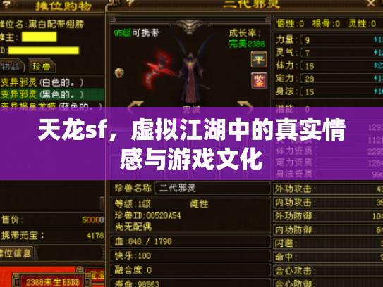 天龙sf，虚拟江湖中的真实情感与游戏文化