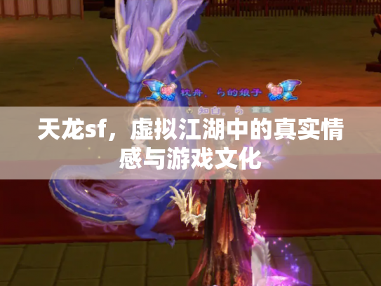 天龙sf，虚拟江湖中的真实情感与游戏文化