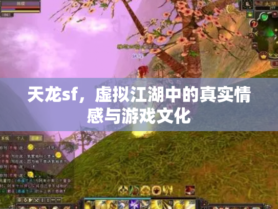 天龙sf，虚拟江湖中的真实情感与游戏文化