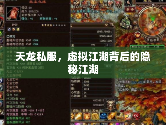 天龙私服，虚拟江湖背后的隐秘江湖