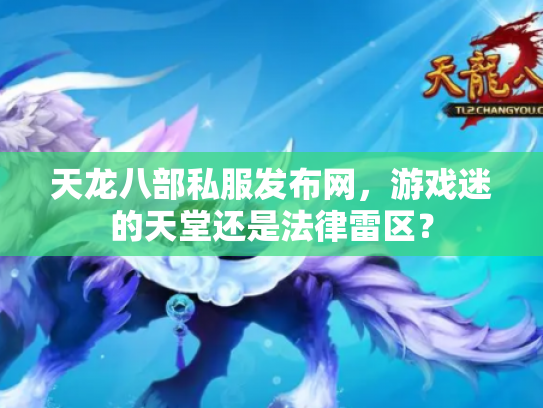 天龙八部私服发布网，游戏迷的天堂还是法律雷区？
