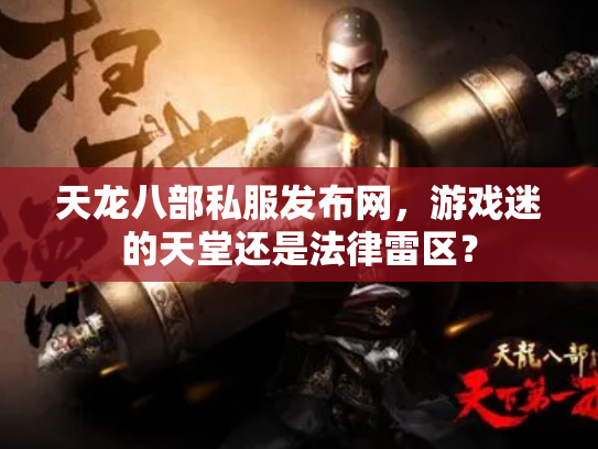 天龙八部私服发布网，游戏迷的天堂还是法律雷区？
