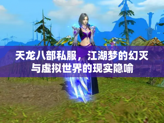 天龙八部私服，江湖梦的幻灭与虚拟世界的现实隐喻