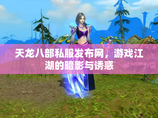 天龙八部私服发布网，游戏江湖的暗影与诱惑