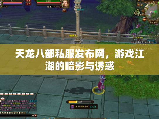 天龙八部私服发布网，游戏江湖的暗影与诱惑