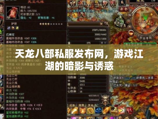 天龙八部私服发布网，游戏江湖的暗影与诱惑