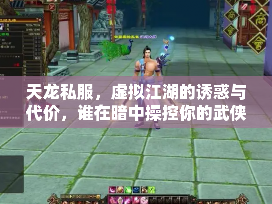 天龙私服，虚拟江湖的诱惑与代价，谁在暗中操控你的武侠梦？