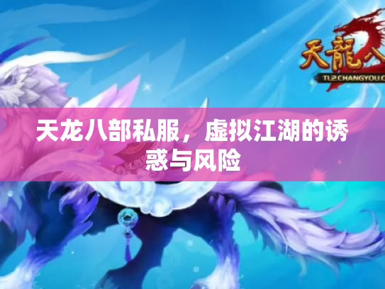 天龙八部私服，虚拟江湖的诱惑与风险