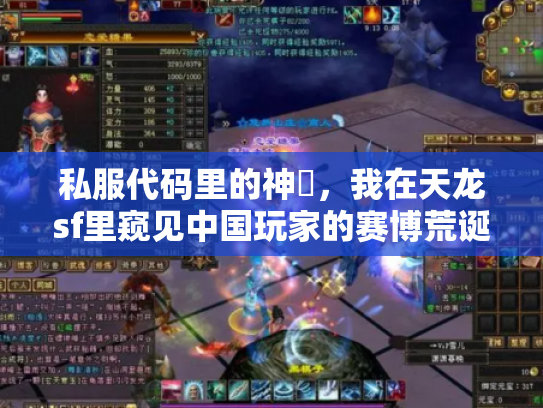 私服代码里的神祇，我在天龙sf里窥见中国玩家的赛博荒诞