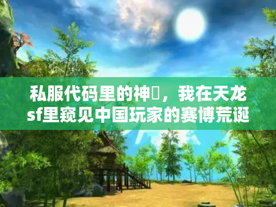 私服代码里的神祇，我在天龙sf里窥见中国玩家的赛博荒诞