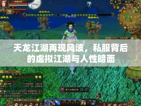 天龙江湖再现风波，私服背后的虚拟江湖与人性暗面