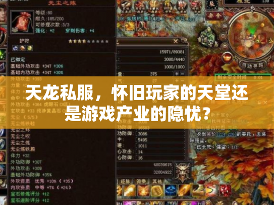 天龙私服，怀旧玩家的天堂还是游戏产业的隐忧？