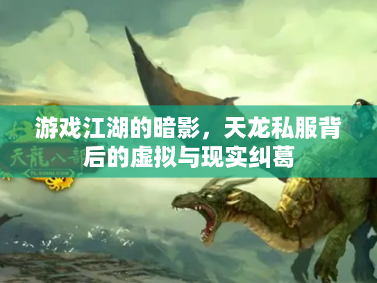 游戏江湖的暗影，天龙私服背后的虚拟与现实纠葛