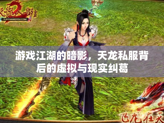 游戏江湖的暗影，天龙私服背后的虚拟与现实纠葛