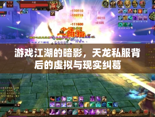 游戏江湖的暗影，天龙私服背后的虚拟与现实纠葛