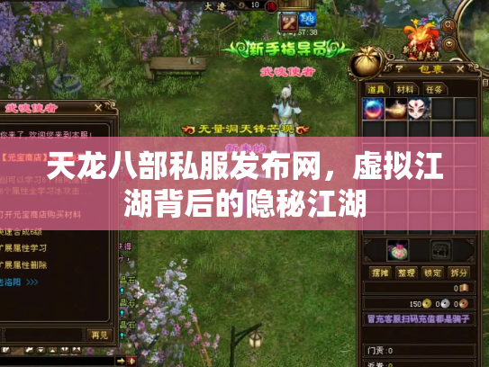 天龙八部私服发布网，虚拟江湖背后的隐秘江湖