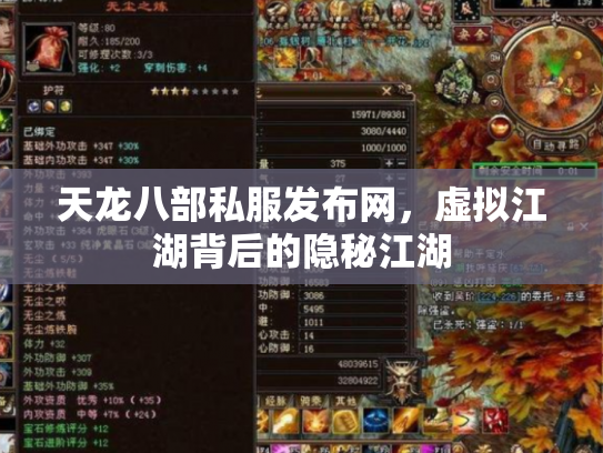 天龙八部私服发布网，虚拟江湖背后的隐秘江湖