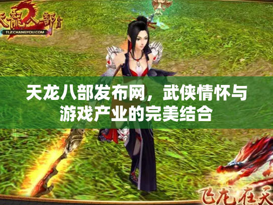天龙八部发布网，武侠情怀与游戏产业的完美结合